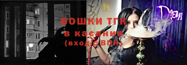 стаф Алексин