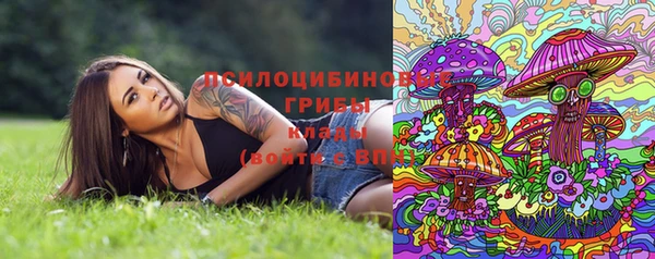 шишки Чита
