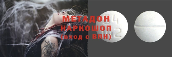 стаф Алексин