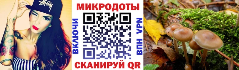 Псилоцибиновые грибы Cubensis  наркота  Ковылкино 